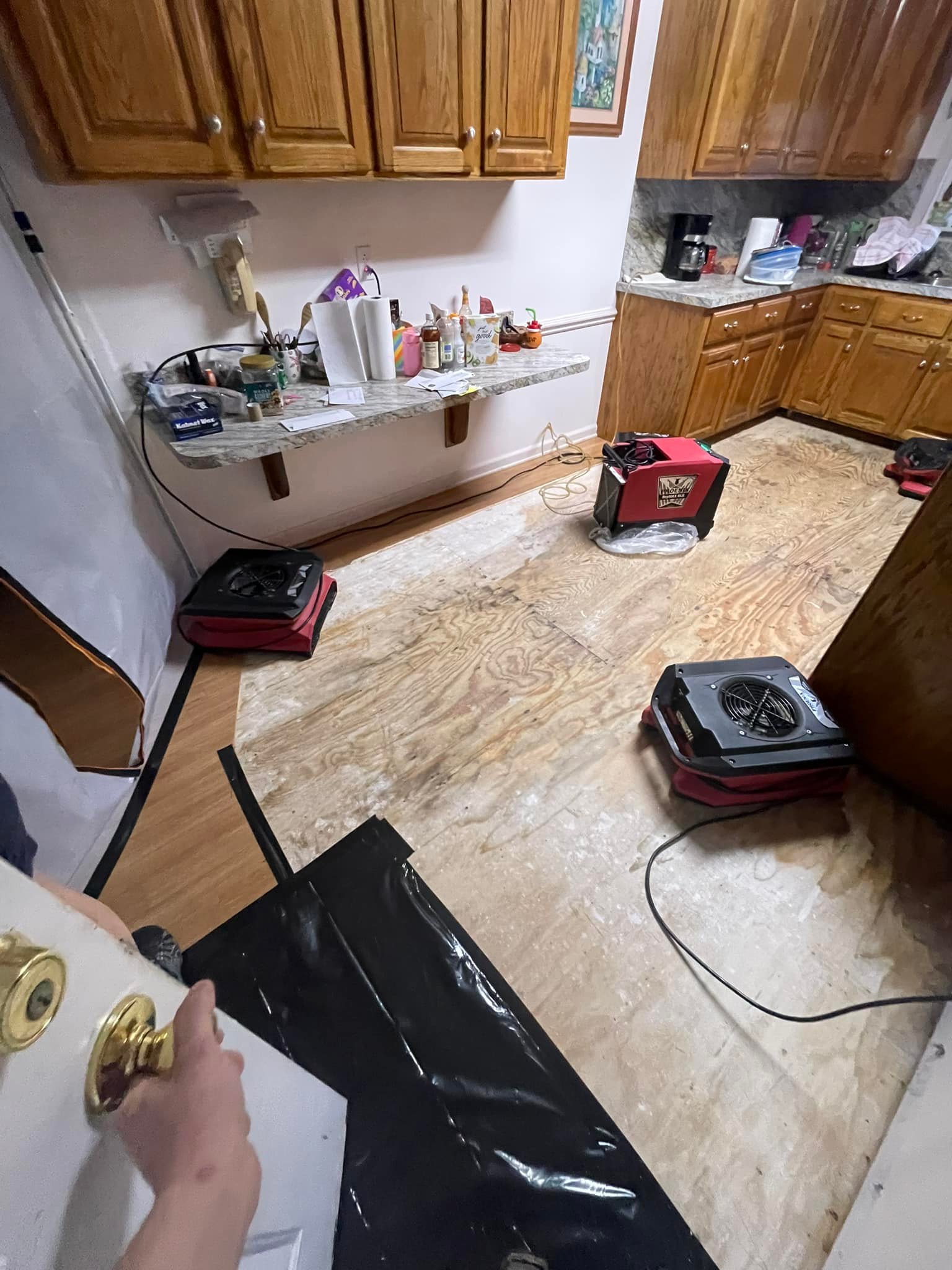 Water Damage Inspections in Prosperity SC
