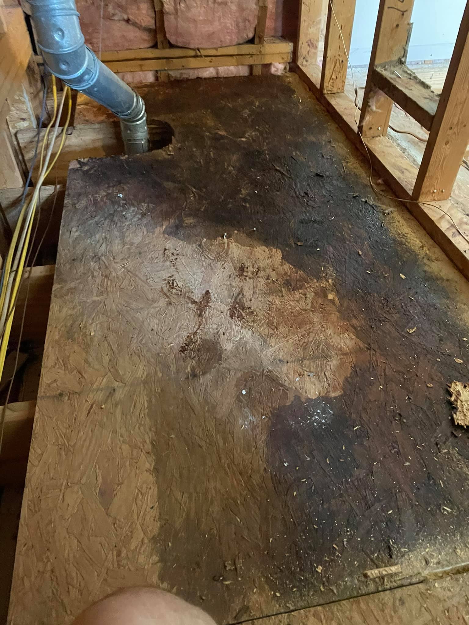 Water Damage Restoration in Lugoff SC